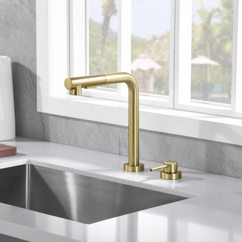 SUMERAIN Kitchen Sink Faucet with Pull Out Sprayer and Side Handle, 2 Hole Sink Faucet Brushed Gold