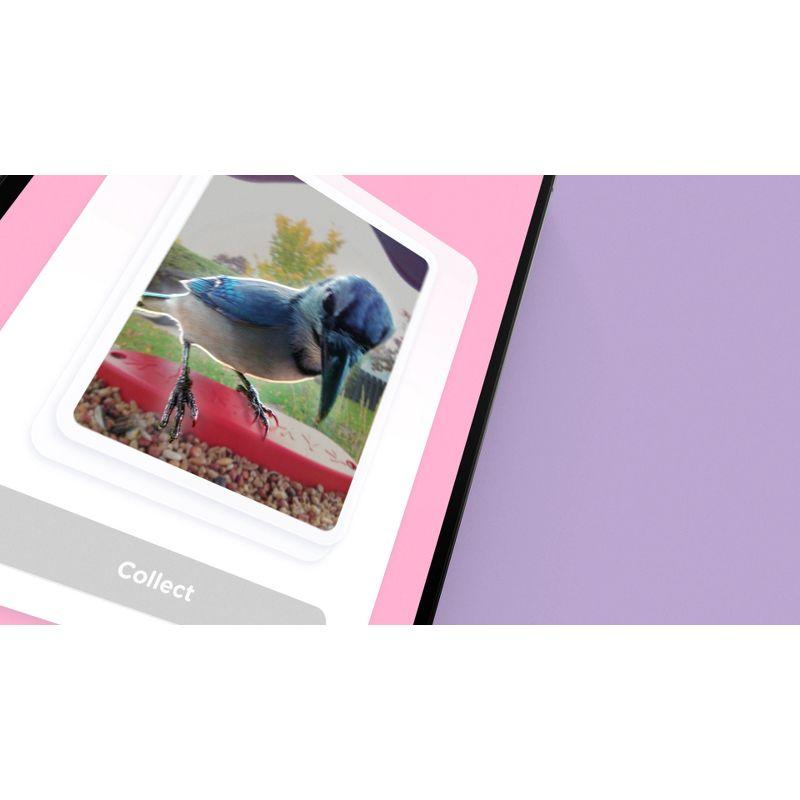 Bird Buddy Smart Bird Feeder with Camera and Solar Roof: Weather-Resistant, Hanging or Pole Mount