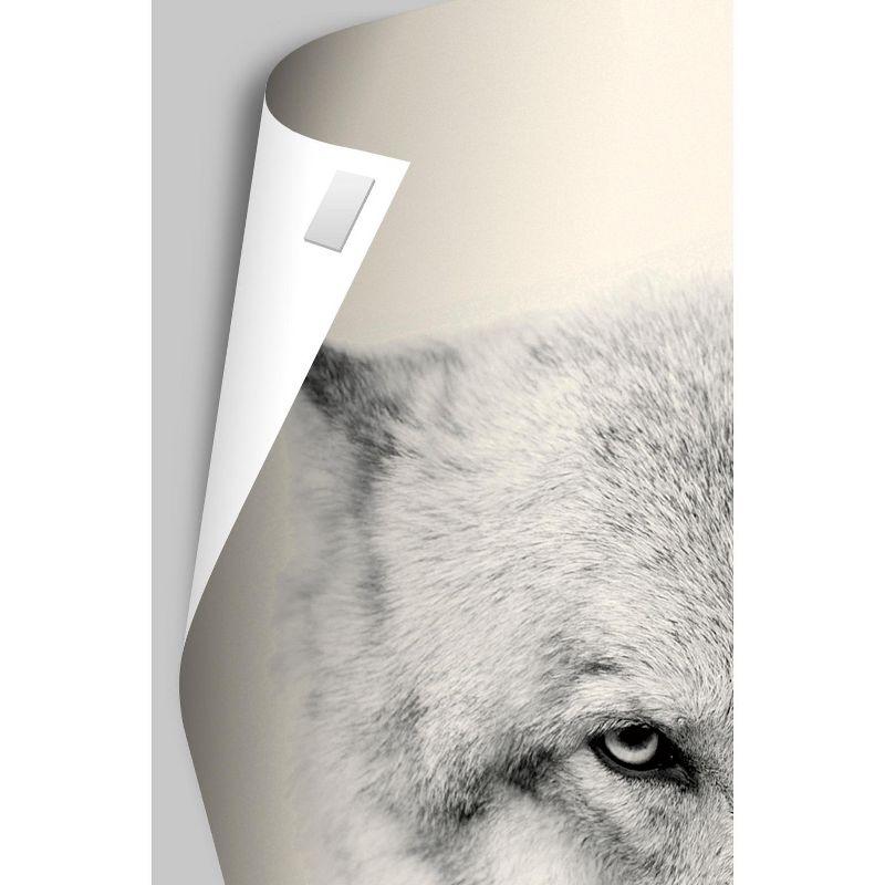 Trends International Reinders - Funky Giraffe Unframed Wall Poster Print White Mounts Bundle 14.725" x 22.375"