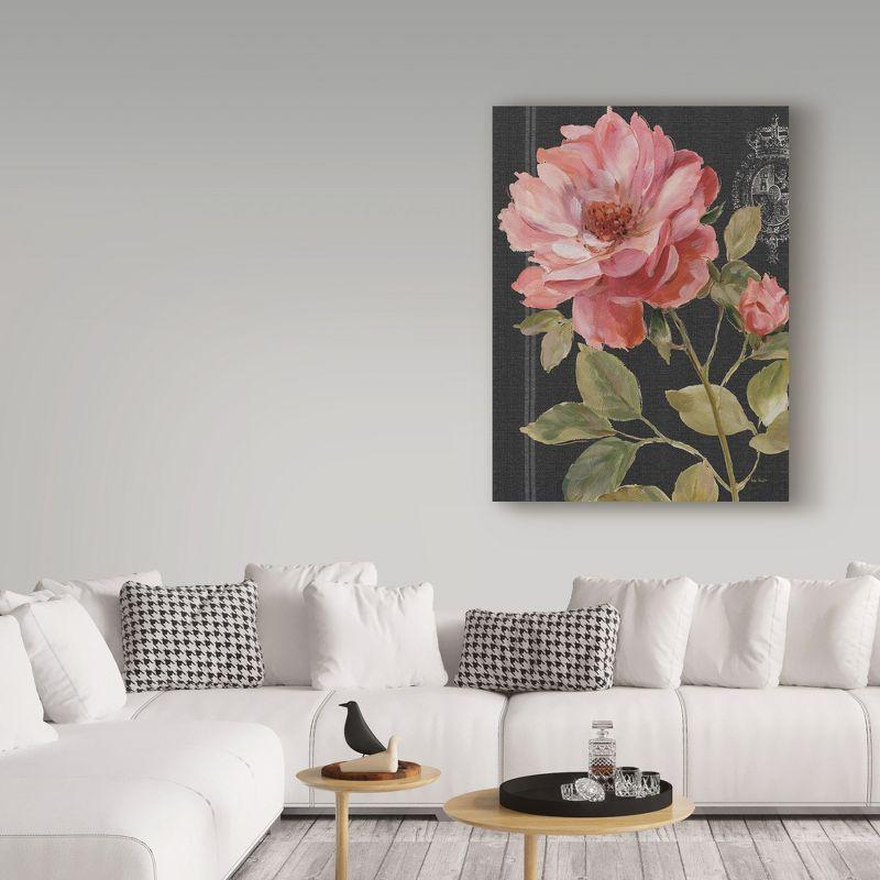 Trademark Fine Art - Lisa Audit 'Harmonious Rose Black' Canvas Art - 24x32