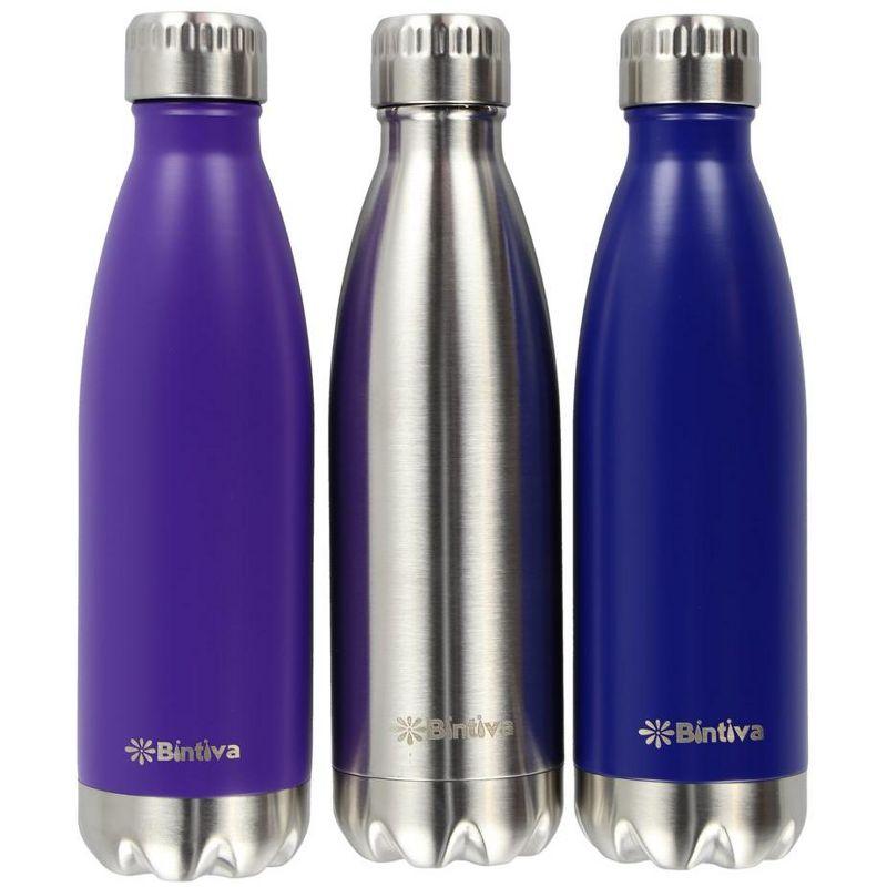 Bintiva Bintiva 17oz. Double Wall Insulated Stainless Steel Water Bottle