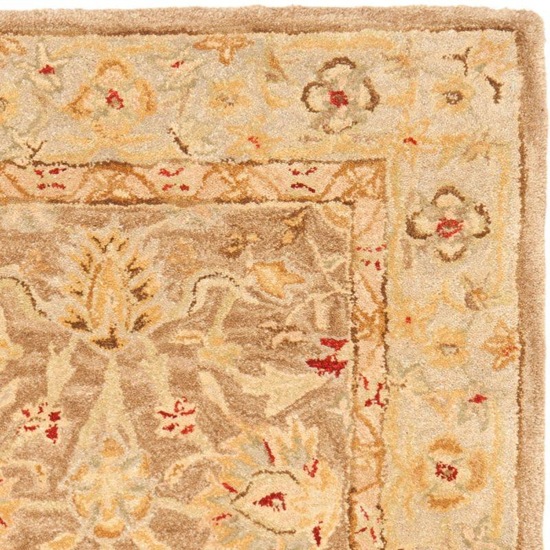 Anatolia AN522 Hand Tufted Indoor Accent Rug - Tan/Ivory - 3'x5' - Safavieh