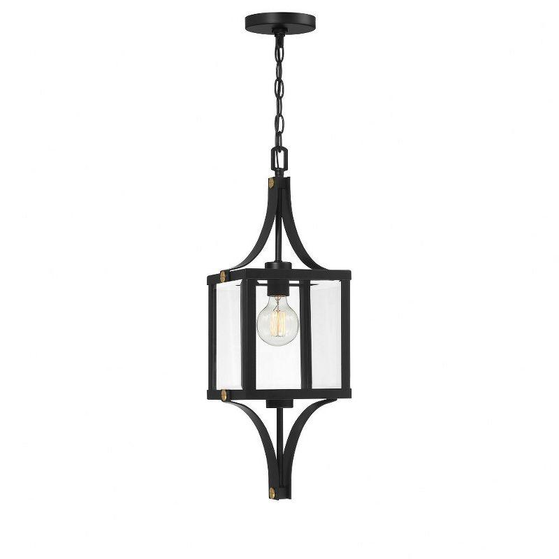 Raeburn 1-Light Outdoor Hanging Lantern in Matte Black and Weathered Brushed Brass