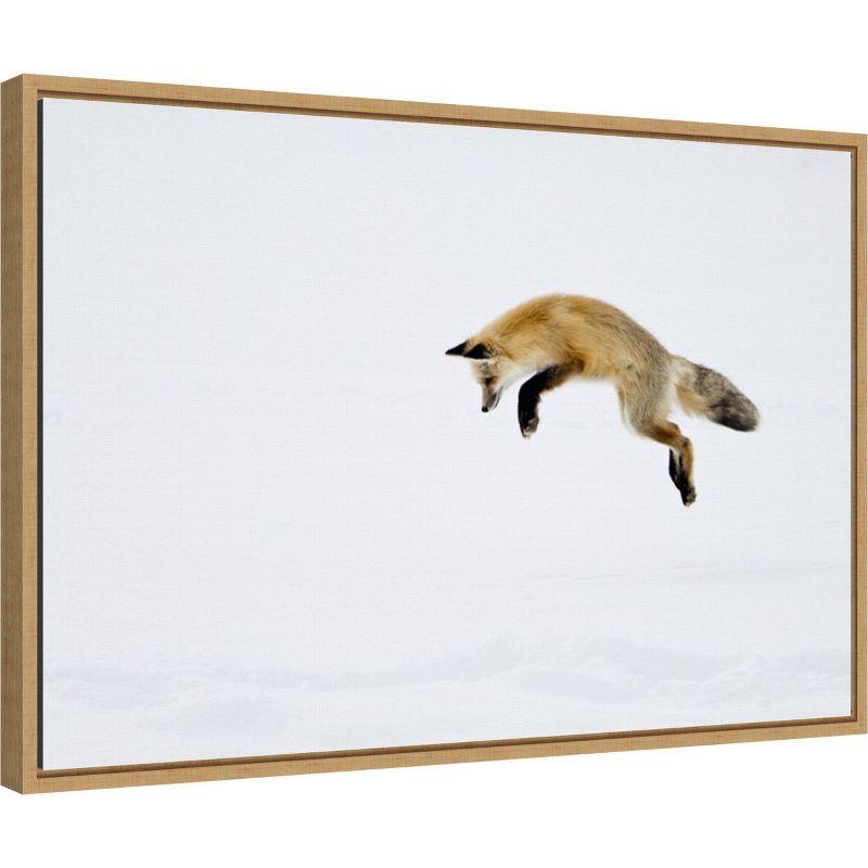 Amanti Art 23" x 16" Red Fox in Snow by Deborah Winchester Danita Delimont Framed Canvas Wall Art : Yellowstone Wildlife Scene