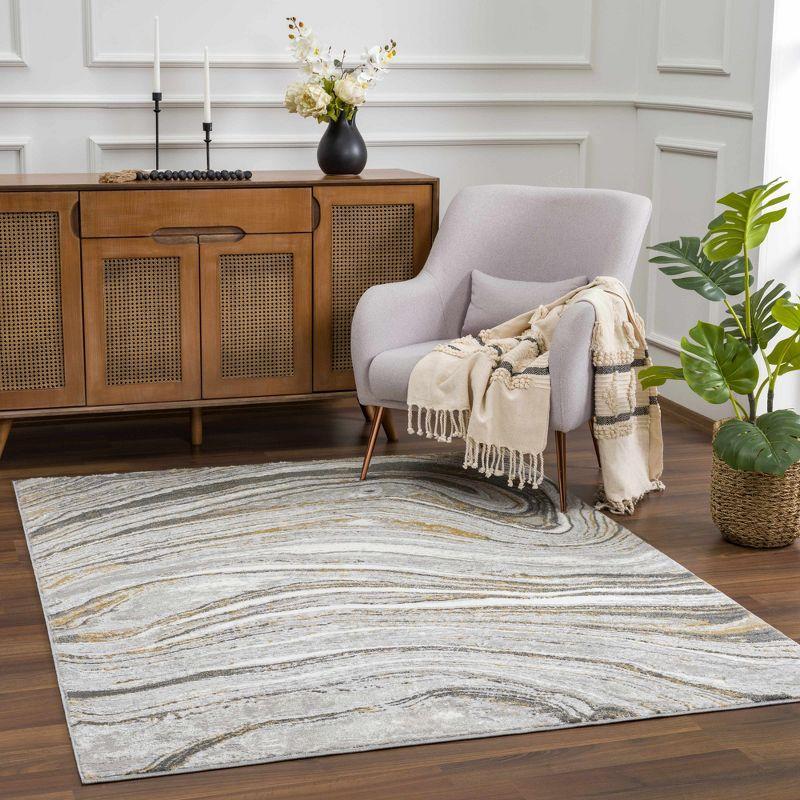 Hauteloom Live Marble Dark Gray Area Rug