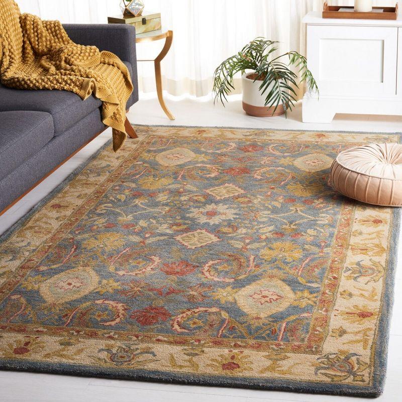 Anatolia AN544 Hand Tufted Indoor Accent Rug - Light Blue/Ivory - 2'x3' - Safavieh