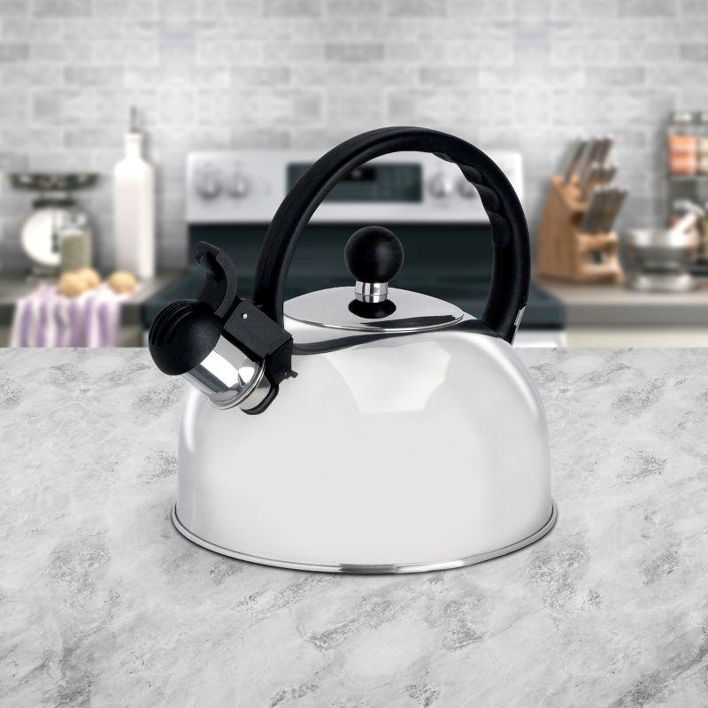 Springberry 2.25 Qt Stainless Steel Whistling Tea Kettle