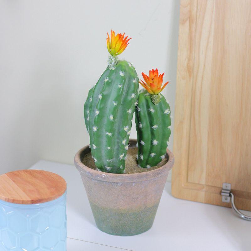 12.5" Green Flowering Column Cactus in Rustic Ceramic Pot