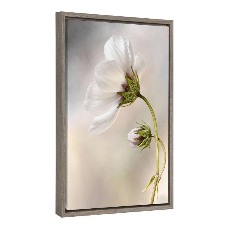 16" x 23" Heavenly Cosmos Framed Canvas Wall Art - Amanti Art: Mandy Disher Botanical Print