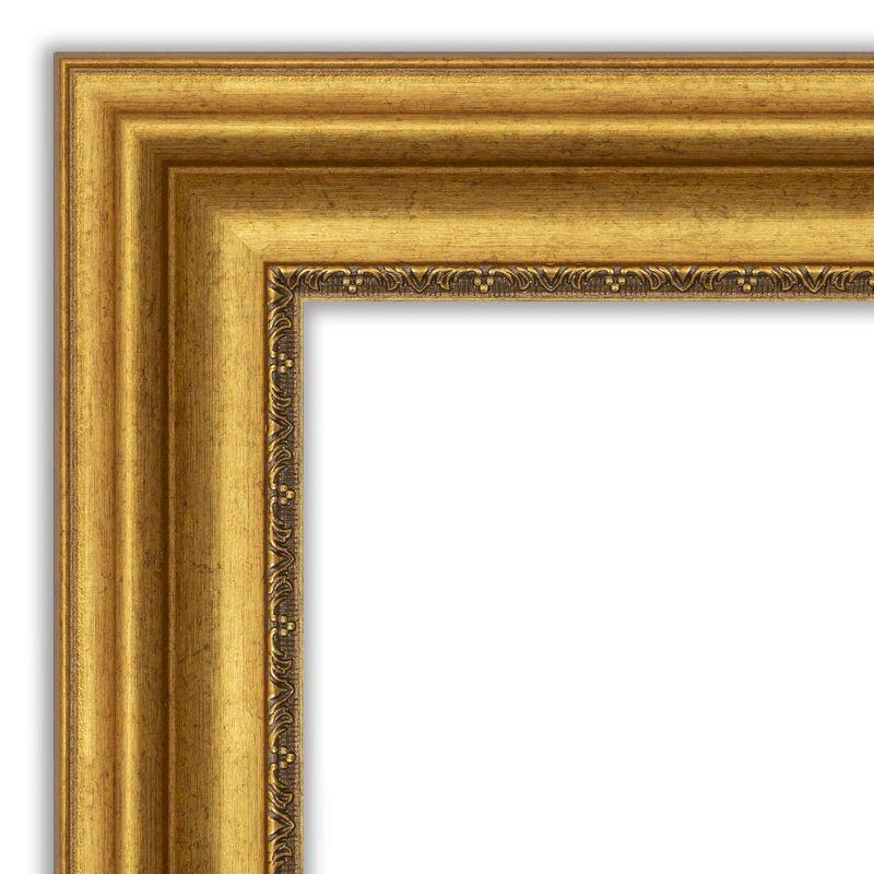 20" x 54" Non-Beveled Parlor Gold Full Length on The Door Mirror - Amanti Art: Includes Hooks, Polystyrene Frame, No Assembly Required