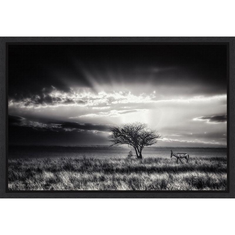 Black and White Framed Canvas Art Print, 23" x 16"