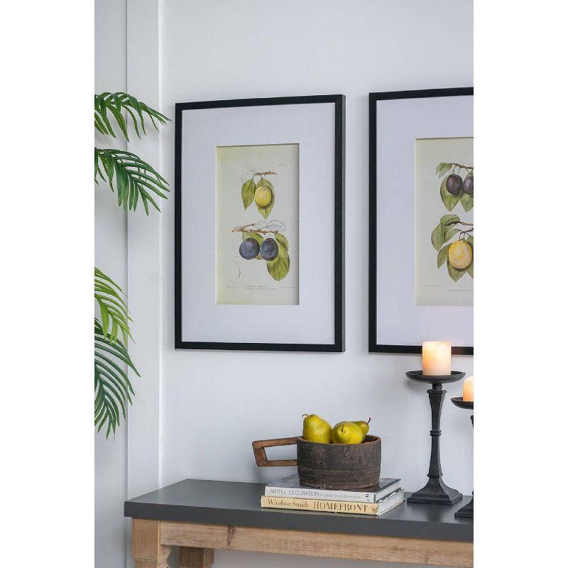 Set of 2 Smithsonian Fruit Framed Wall Arts - A&B Home: Transitional Decor, Vertical Orientation, Includes Mounting Hardware