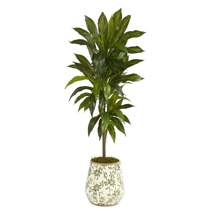 Lush Dracaena Silk Foliage 62'' in Floral Planter - Real Touch