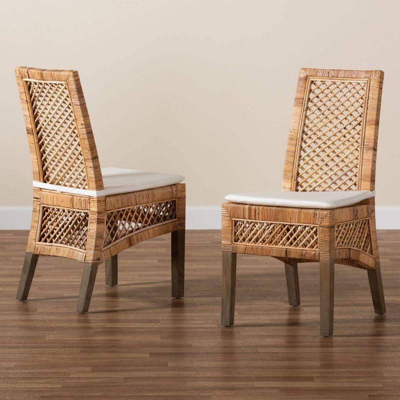 Bayou Breeze Argos Modern Bohemian Rattan Dining Chair (Set of 2)