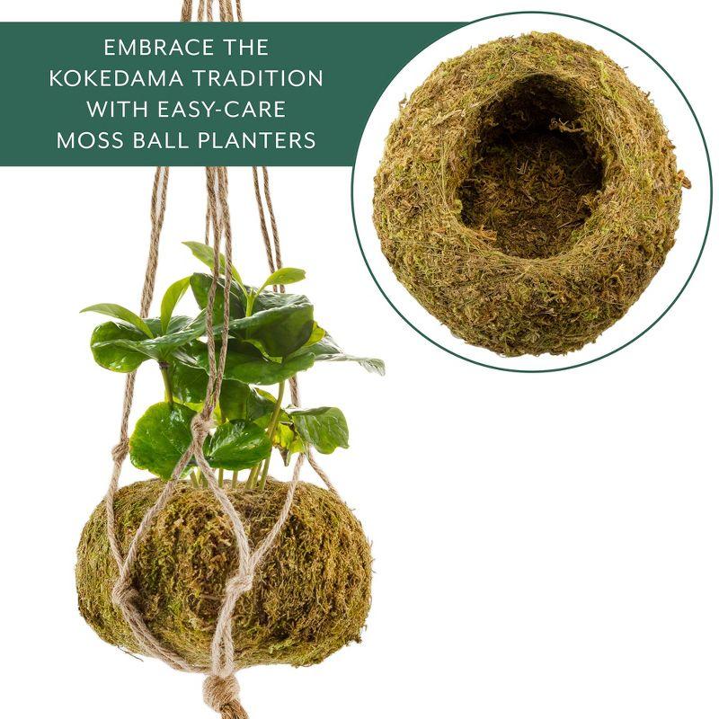 Esterno Kokedama Hanging Planter Kits, 3pk; Japanese Moss Ball Plant Holder