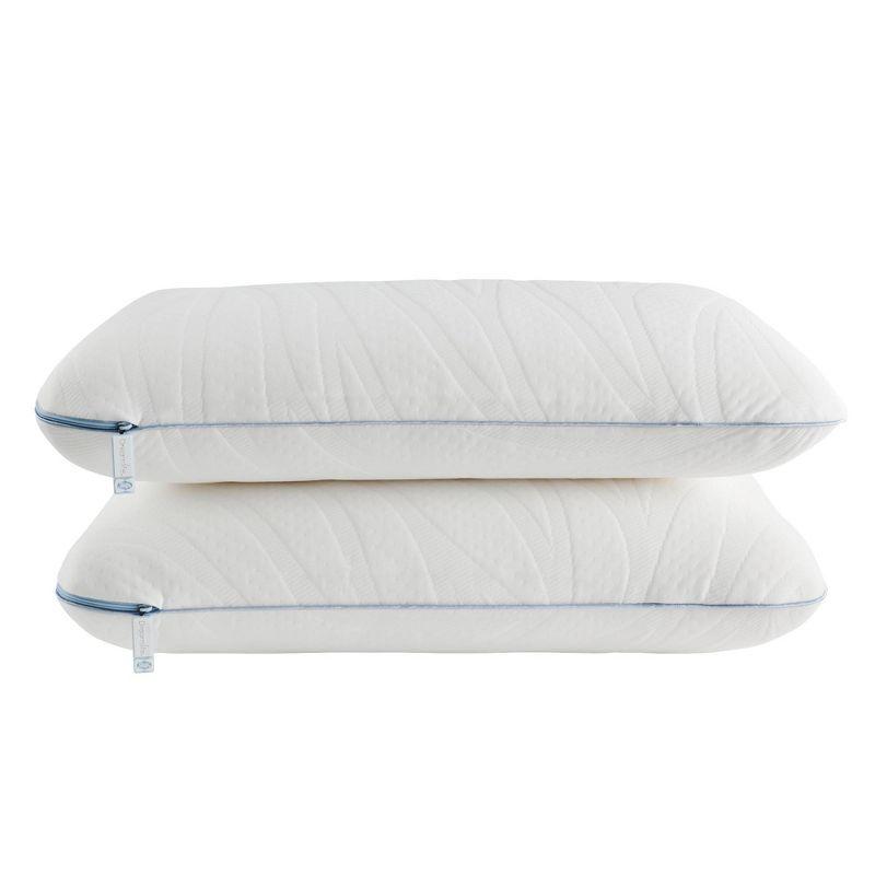 Sealy Dreamlife Standard White Memory Foam Pillow Set