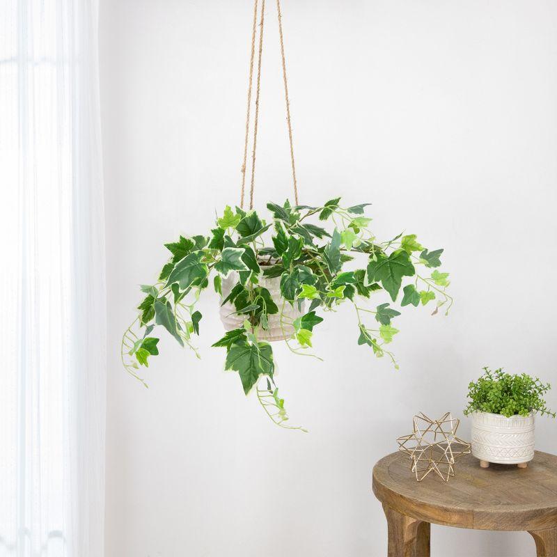 Green and White Plastic Ivy Hanging Bush