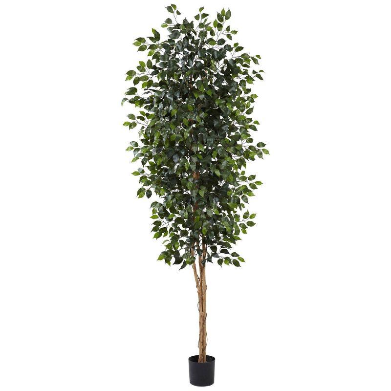 Tall Green Silk Ficus Tree in Black Plastic Pot