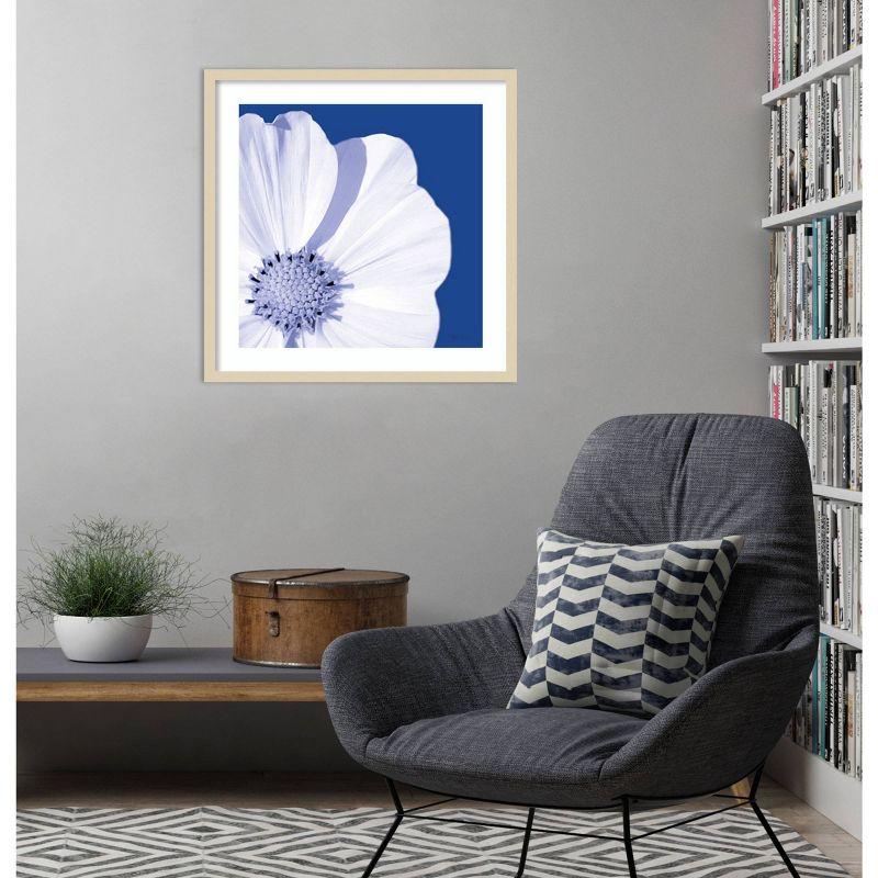 Amanti Art Flower Pop Blue III by Marie Elaine Cusson Framed Wall Art Print