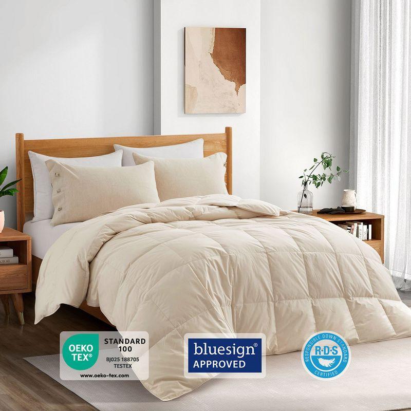 Puredown All Season Organic Cotton Down Comforter - 100% Natural, Chemical-Free, Medium Warmth Duvet Insert, Off-white, Full/Queen
