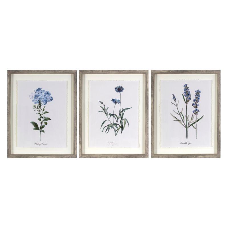 (Set of 3) 16"x20" Framed Vintage Botanicals Decorative Wall Art Natural/Blue - Threshold™