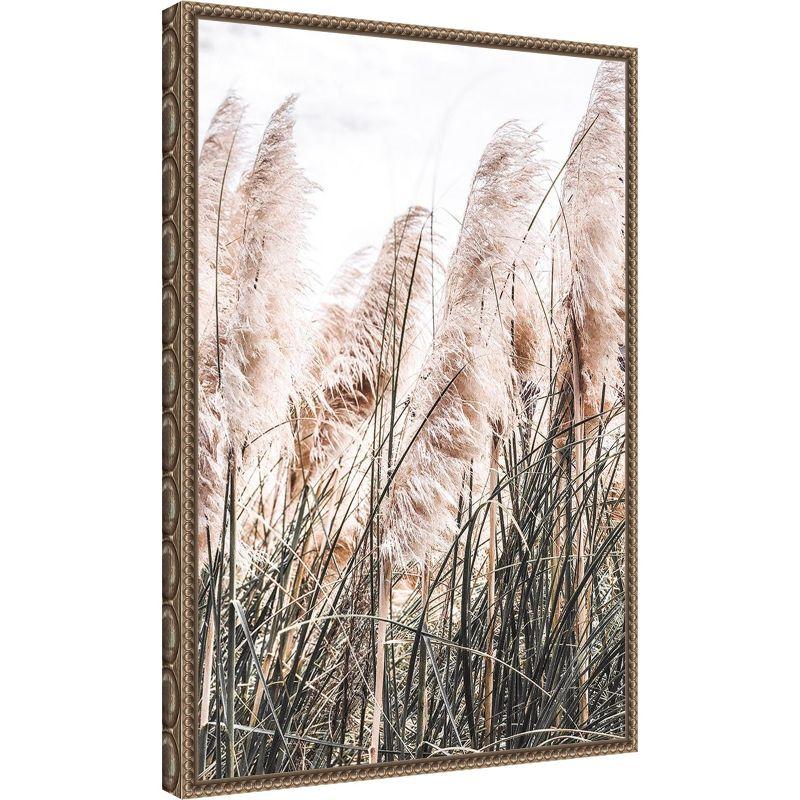 Amanti Art Pampas by Incado Framed Canvas Wall Art