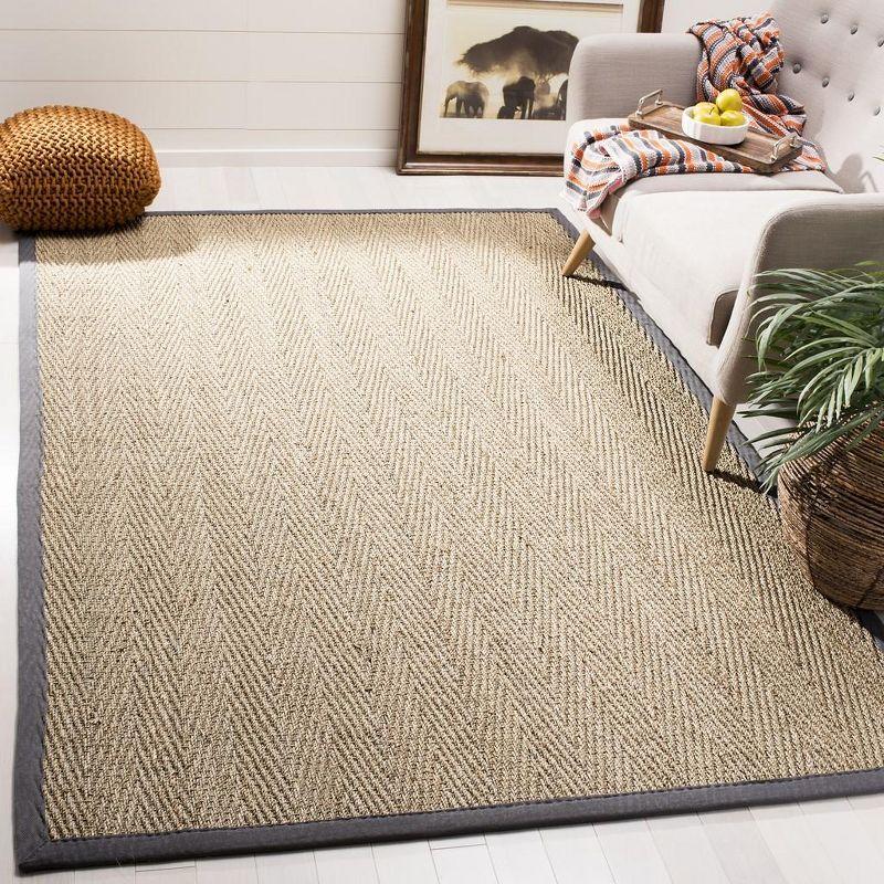 Natural Fiber Seagrass Area Rug with Dark Gray Border, 5' x 8'