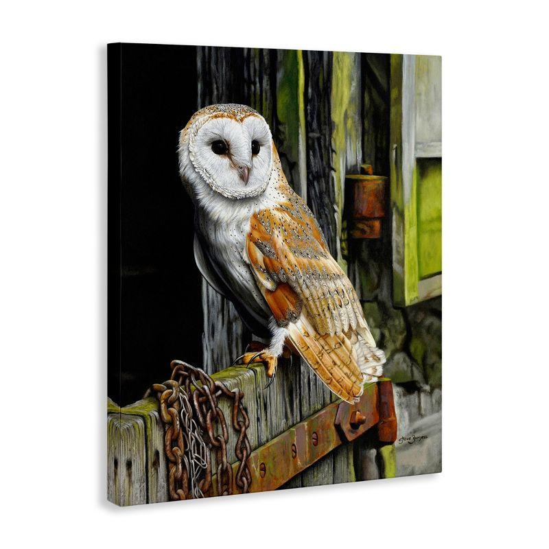 Stupell Industries " Owl Perched On Barn Door " by Steve Burgess Painting Print