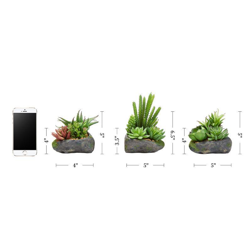 Artificial Succulent Plants - 3-Piece Arrangement Set in Faux Stone Pots and Assorted Sizes - Lifelike Greenery for Home Decoration by Pure Garden