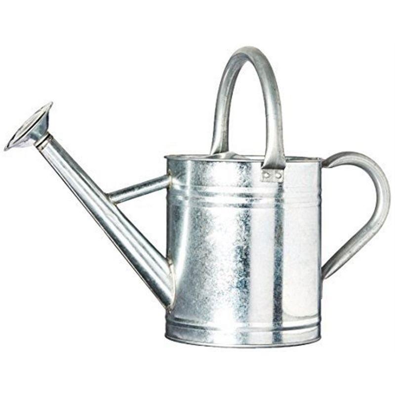 Gardener's Select Classic Metal Gardening Watering Can, Silver, 0.92 Gallon
