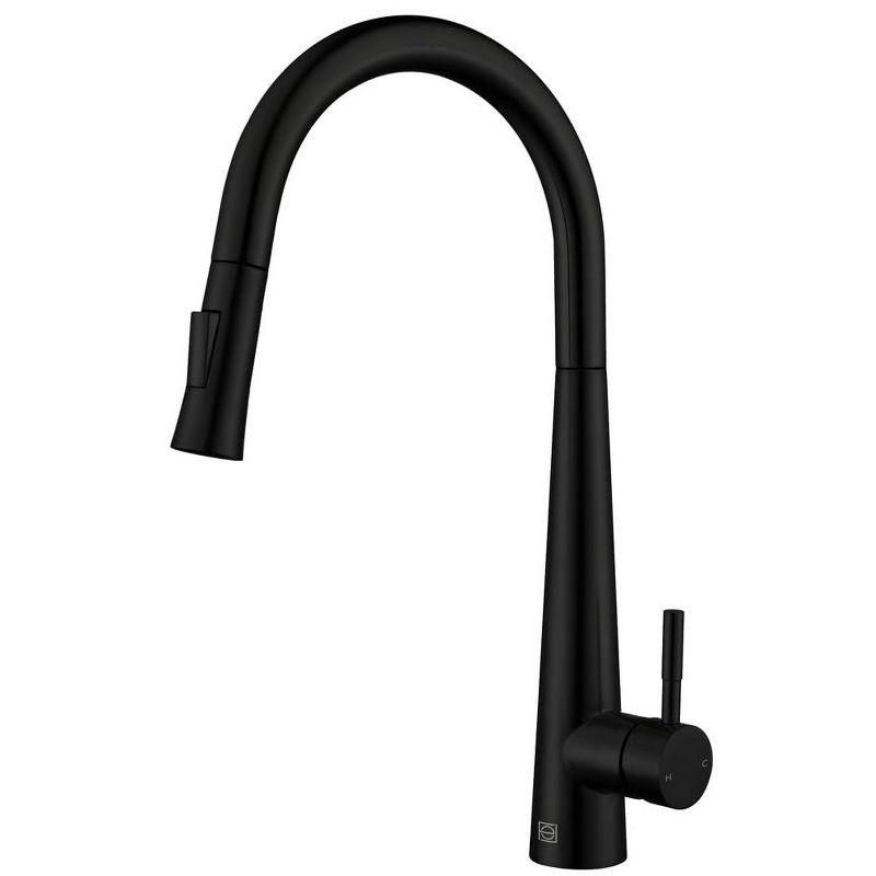 Elegant Lighting Lucas Pull Down Spray Kitchen Faucet