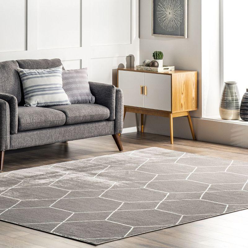 Calm Geometric Honeycomb Gray Synthetic Area Rug 5x8