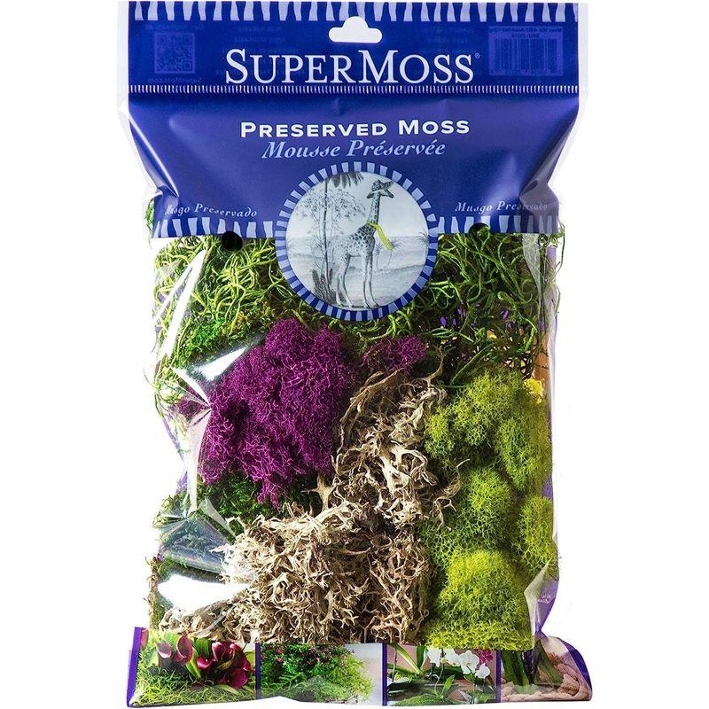 Super Moss SuperMoss Preserved Moss Mix, Mixed Colors, Approx. 2oz | Wayfair