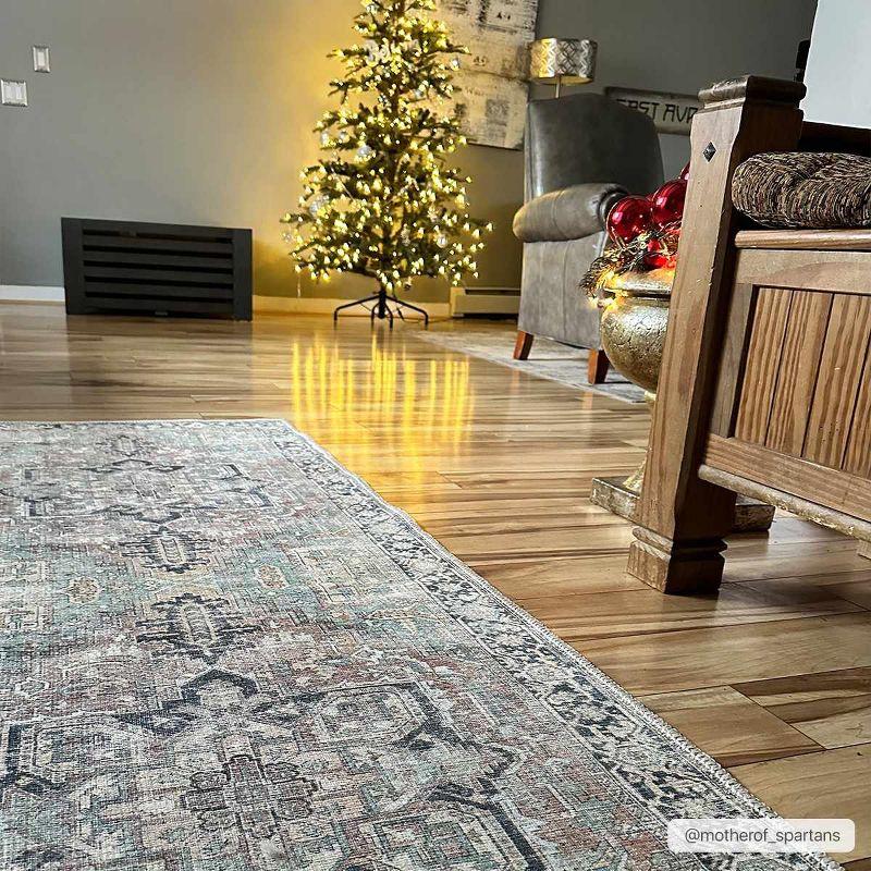 Hauteloom Rectangle Area Rug   Brick Red
