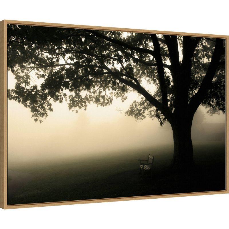 Amanti Art 33" x 23" Shenandoah by Andy Magee Framed Canvas Wall Art Print : Landscape, Framed Tree Art