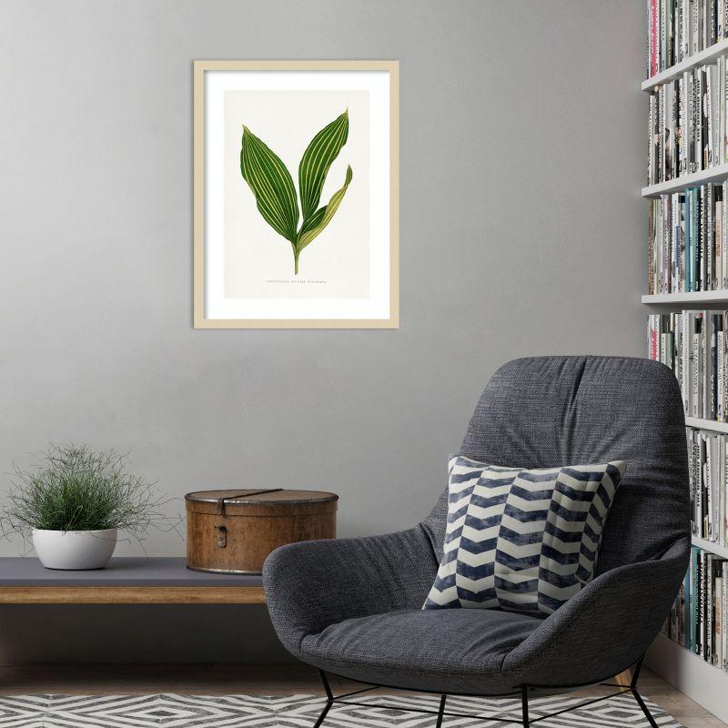 Amanti Art Lily of the Valley Leaf Illustration by Pictufy Wood Framed Wall Art Print