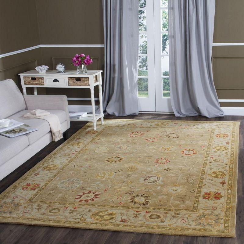 Antiquity AT859 Hand Tufted Area Rug  - Safavieh