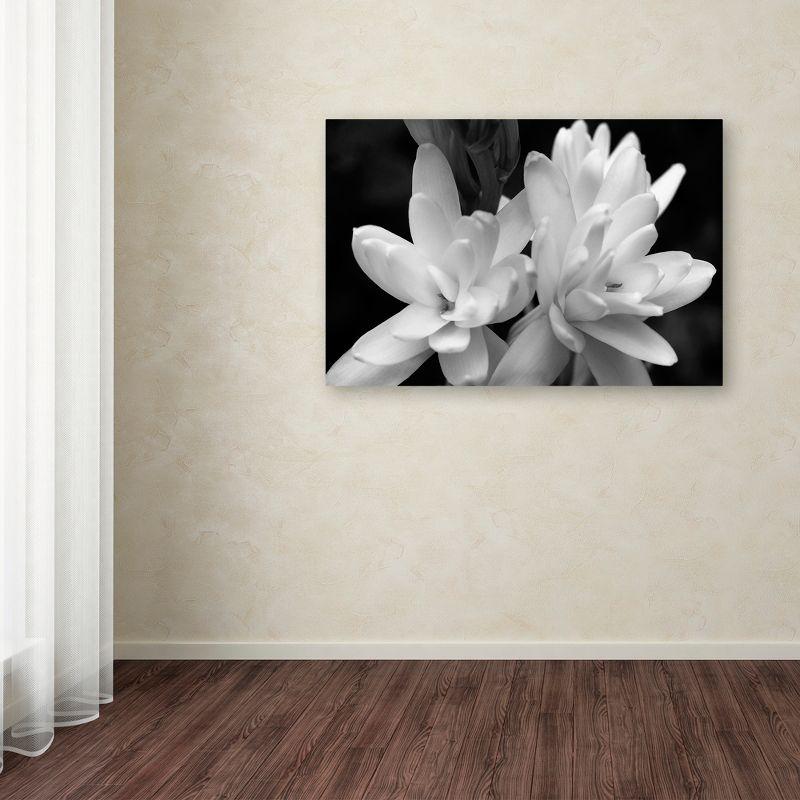 Trademark Fine Art -Kurt Shaffer 'Tuber Rose in Black and White' Canvas Art - 16''x24''