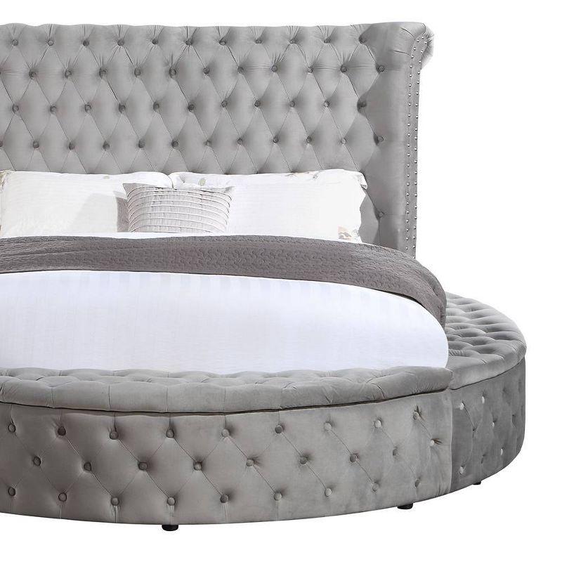 109" Queen Bed Gaiva Bed Gray Velvet - Acme Furniture: Elegant Nailhead, Button-Tufted Design, Wood Composite Frame