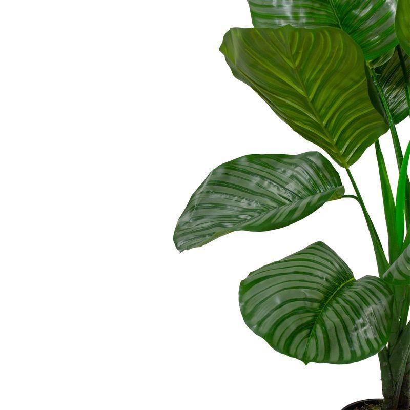 Northlight 4' Potted Two Tone Green Calathea Artificial Floor Plant