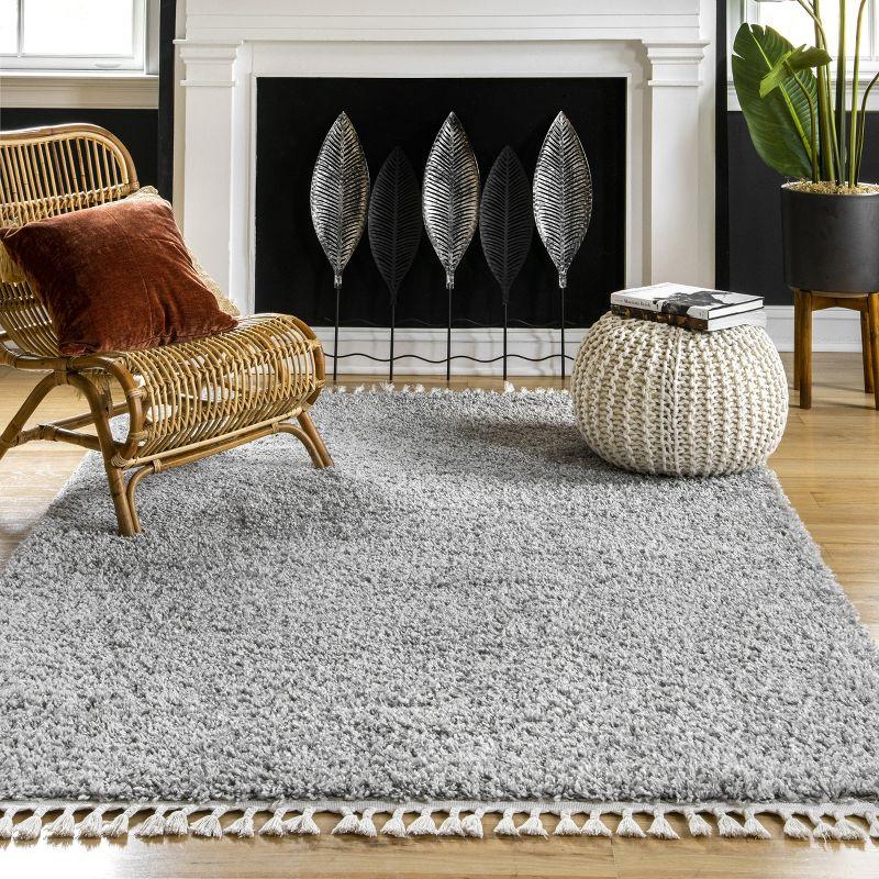 Cozy Charm Light Gray Braided Shag Area Rug 6'7" x 9'