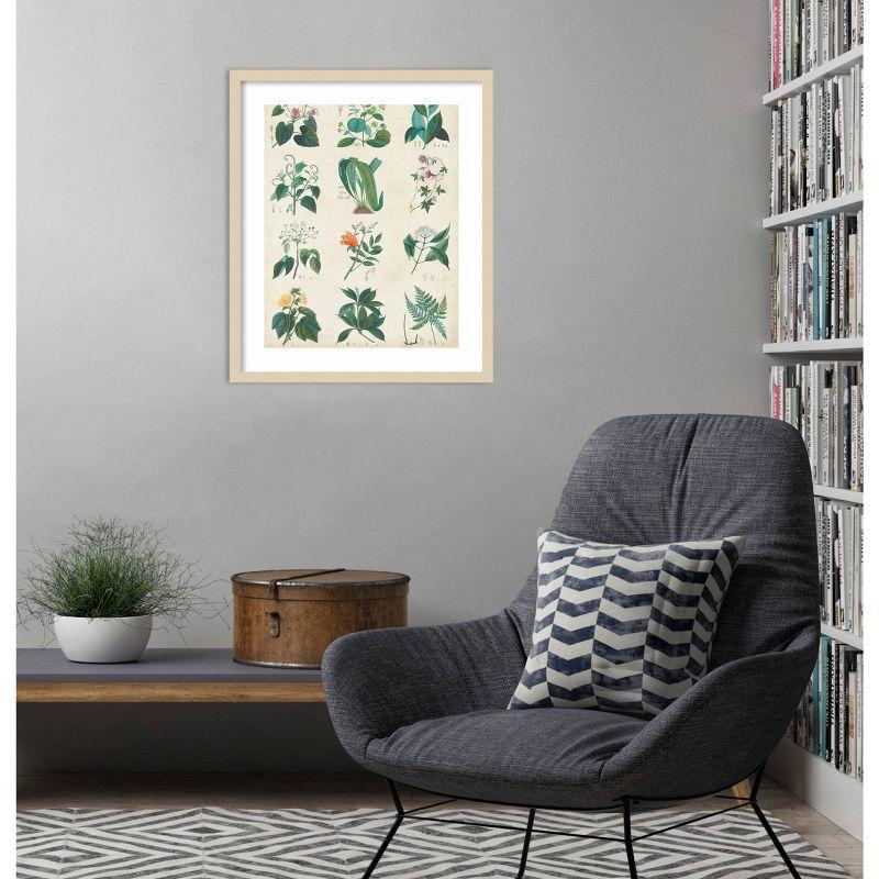 Amanti Art Botanical Schema II by Vision Studio Wood Framed Wall Art Print