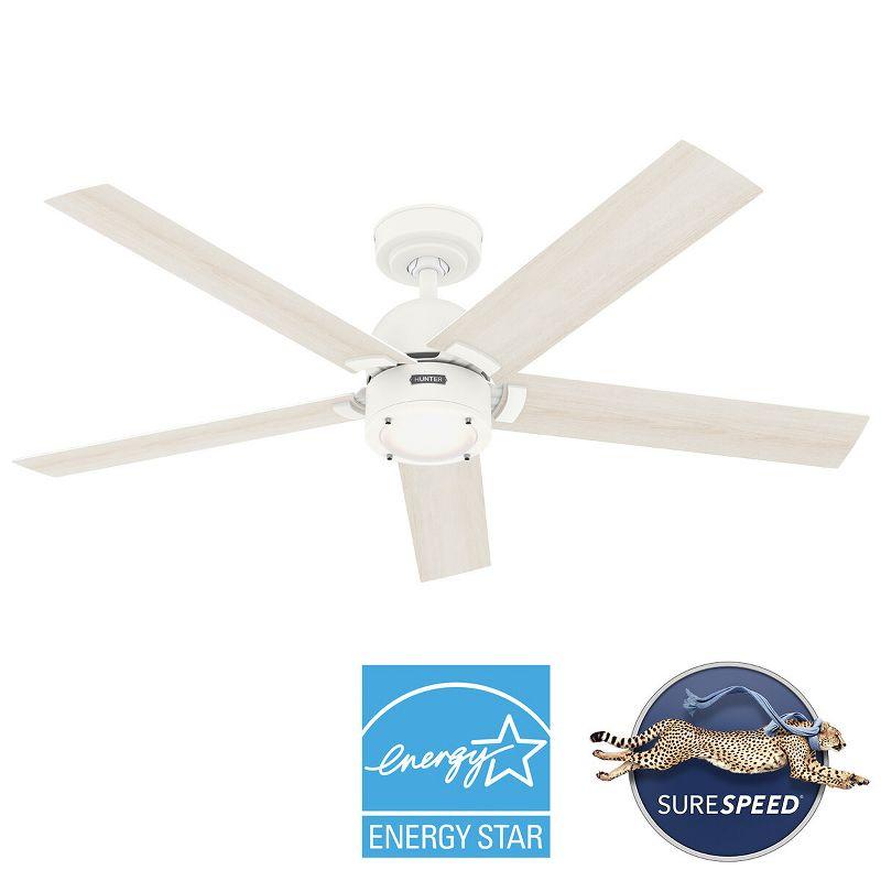 Hunter 52 Inch Erling ENERGY STAR® Ceiling Fan With Lights And Remote