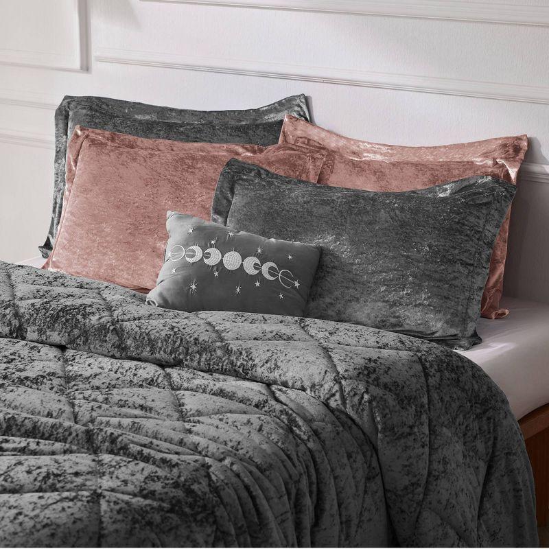 Intelligent Design Felicia Crushed Velvet Comforter Set with Throw Pillow