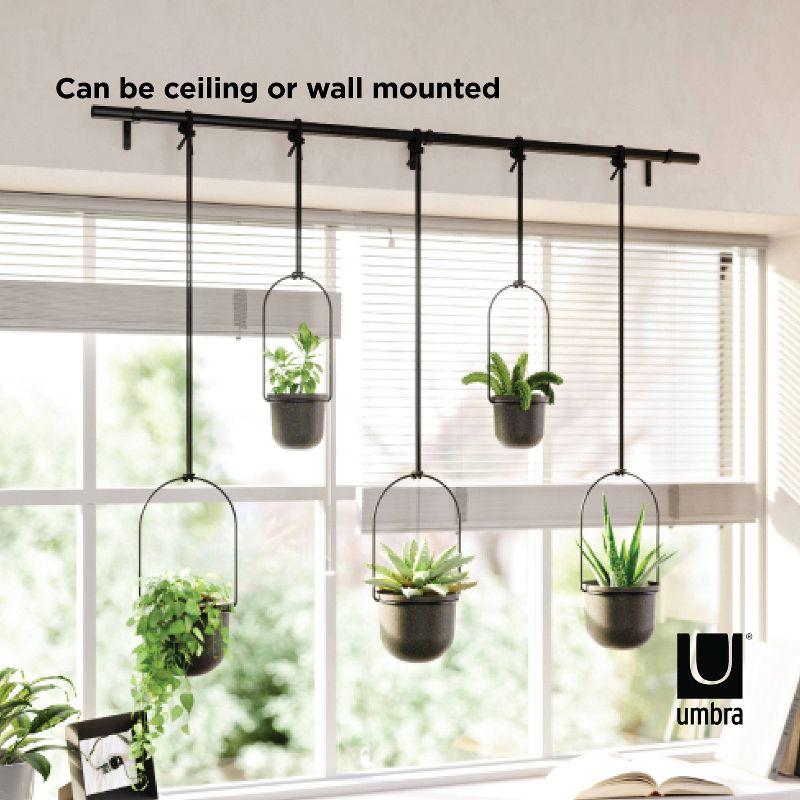Triflora Large Hanging Planter