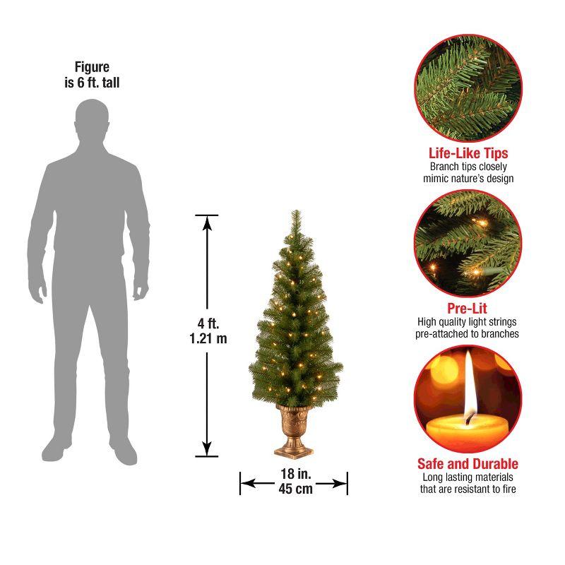 4' Prelit Pencil Montclair Spruce Artificial Christmas Tree Clear Lights - National Tree Company