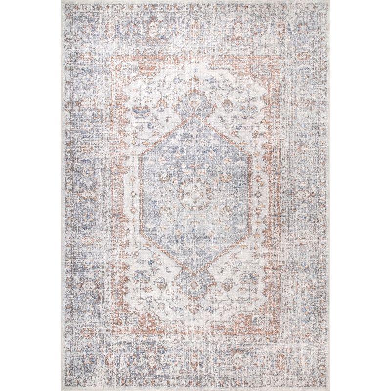Nuloom Jacquie Pet Friendly Machine Washable Vintage Floral Area Rug, 4' x 6', Light Grey