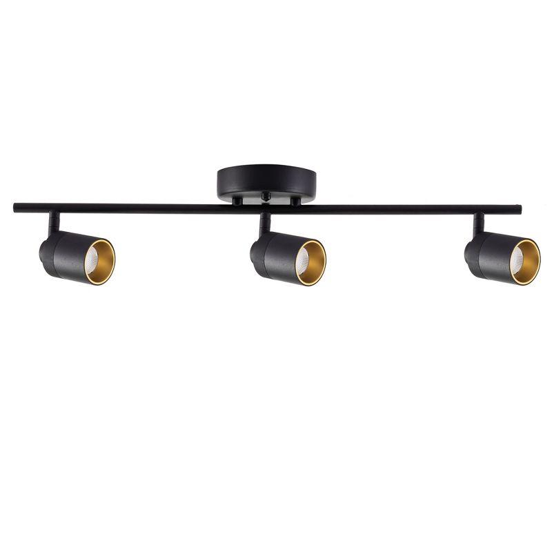 Shura Black and Gold Aluminum 3-Head LED Track Light