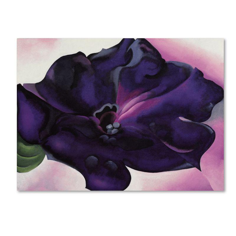 "Petunia" Outdoor Canvas