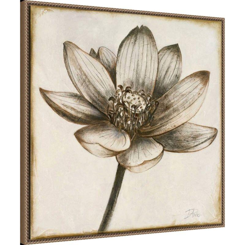 30"x30" Sepia Lotus Blossom II by Patricia Pinto Framed Canvas Wall Art Print Bronze - Amanti Art: Hand-Stretched, Modern Decor